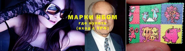 индика Володарск