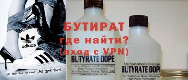 индика Володарск