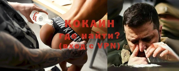 индика Володарск