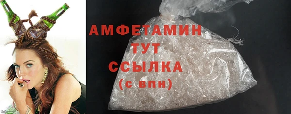 индика Володарск
