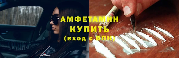 индика Володарск