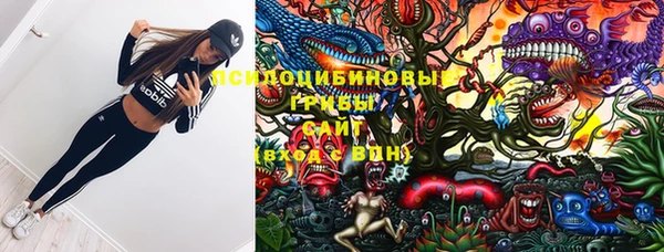 метадон Горняк