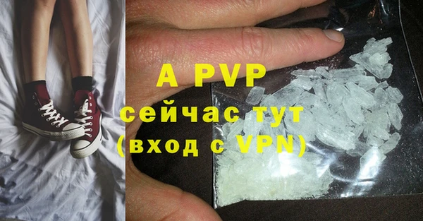 индика Володарск