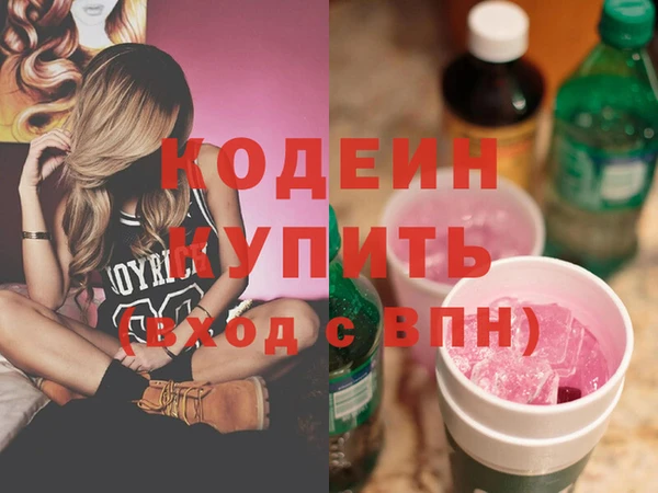 индика Володарск